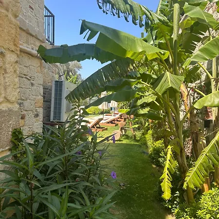 Hotel Elia Alacati *