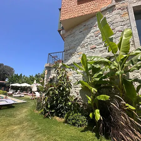 Elia Alacati *